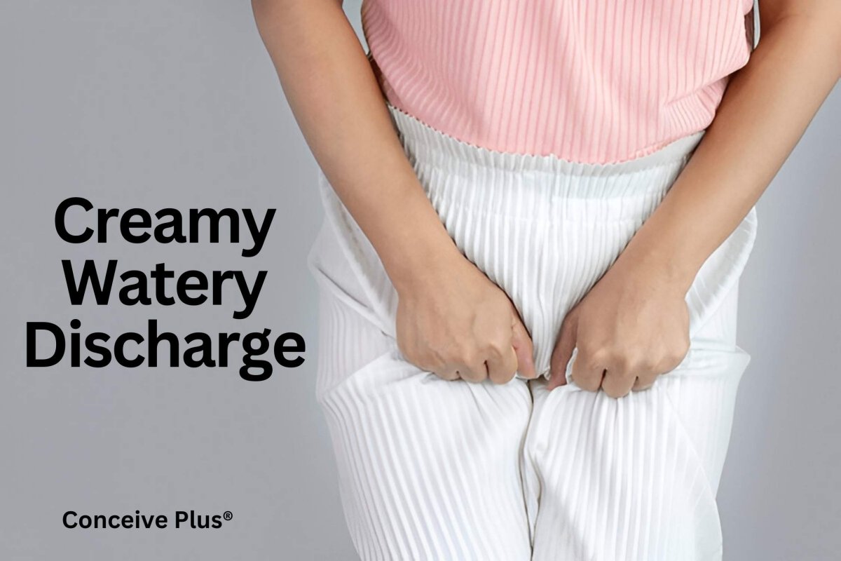 Creamy Watery Discharge What It Means Conceive Plus®