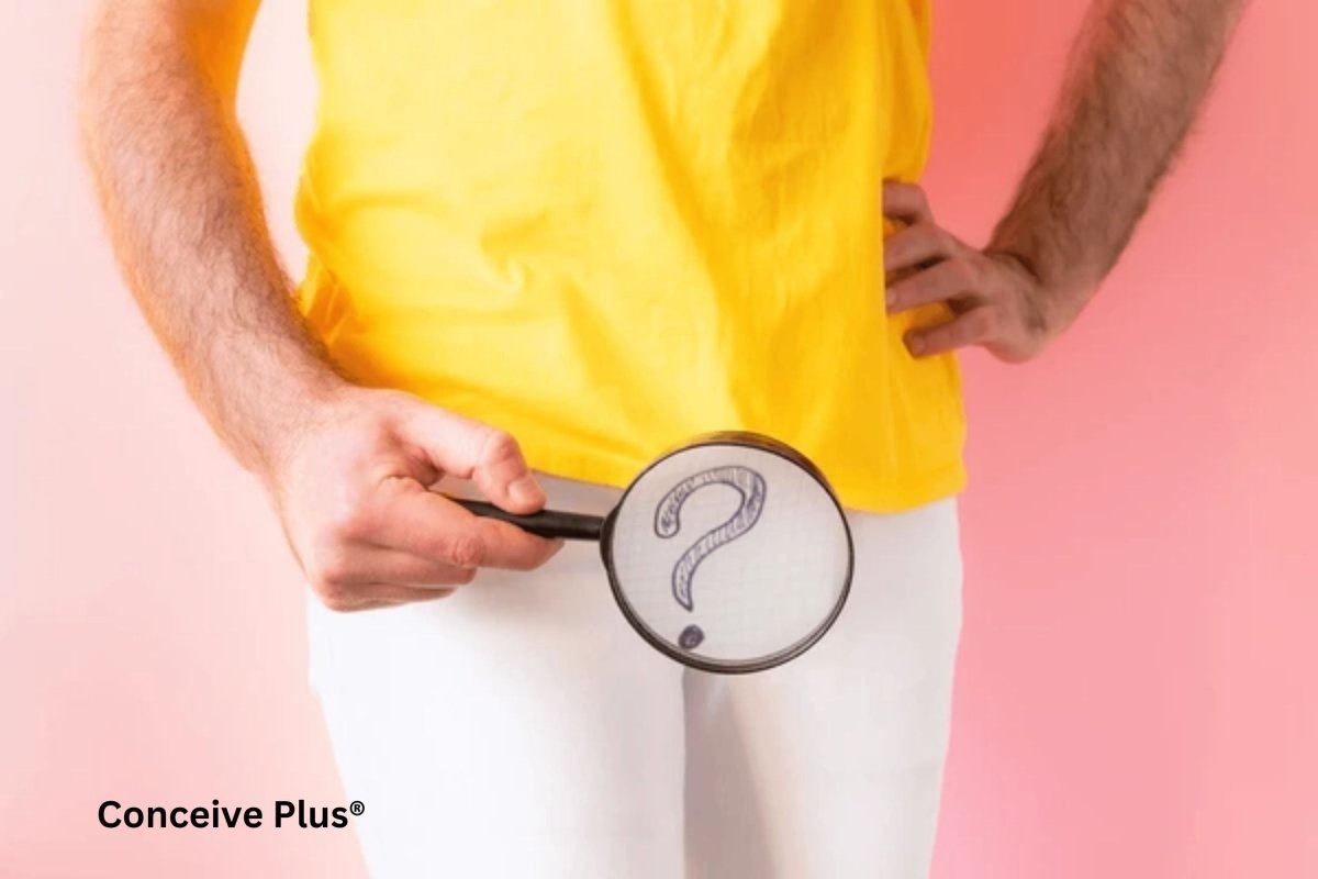 Cmo tener un orgasmo sin eyacular? | Conceive Plus Cmo tener un orgasmo sin eyacular? | Conceive Plus