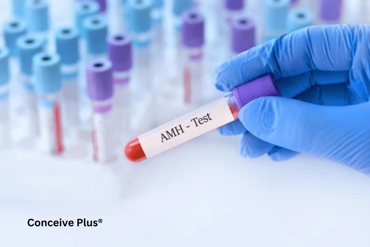 AMH Test to Know Your Reproductive Potential | Conceive Plus®