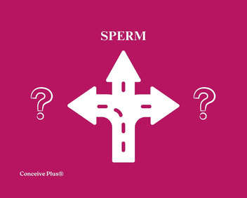 Another Name For Sperm: Common Terms | Conceive Plus®