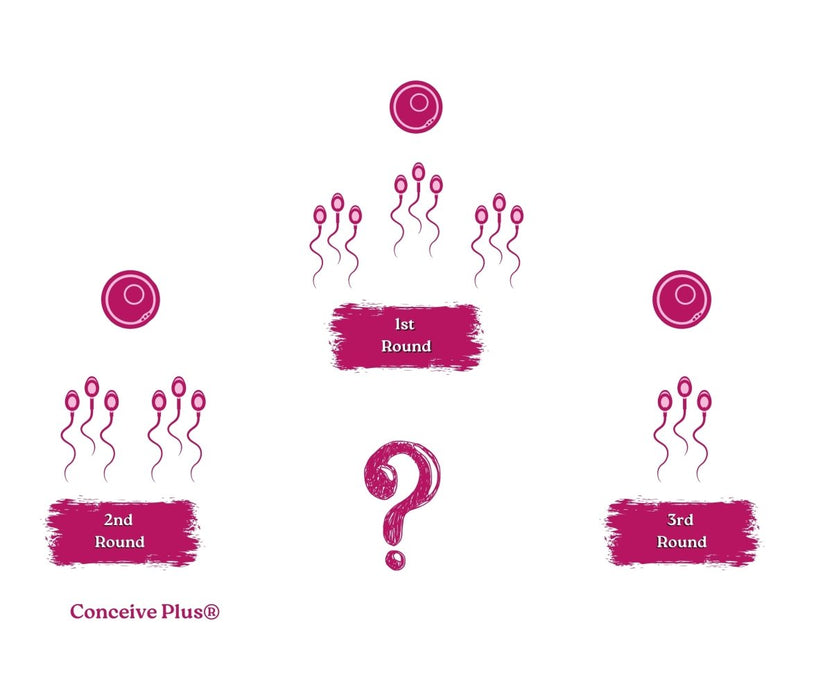 Can the third round sperms make a woman pregnant? | Conceive Plus®