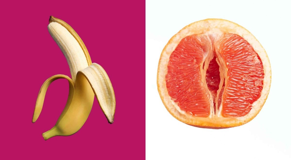 Copulating Definition Copulation Organ: Male and Female Sex Organ | Conceive Plus®