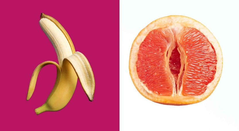 Organe de copulation : organes sexuels mâles et femelles | Conceive Plus®