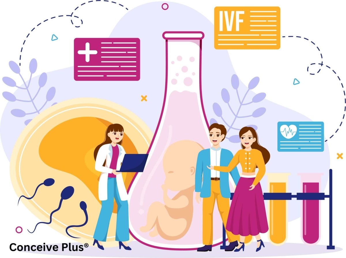 Exploring IVF Male Fertility | Conceive Plus®