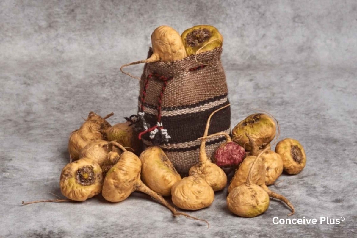 Herbs For Fertility And Reproductive Health Conceive Plus herbs-for-fertility-and-reproductive-health-conceive-plus