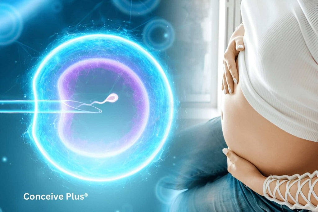 What It Means You Are Shooting Blank Sperm | Conceive Plus®