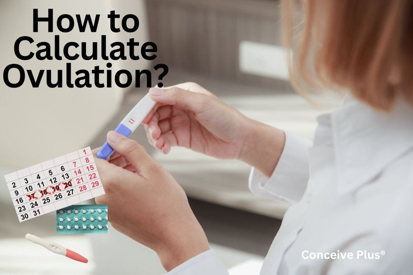 How To Conceive How to Calculate Ovulation for Irregular Periods | Conceive Plus®
