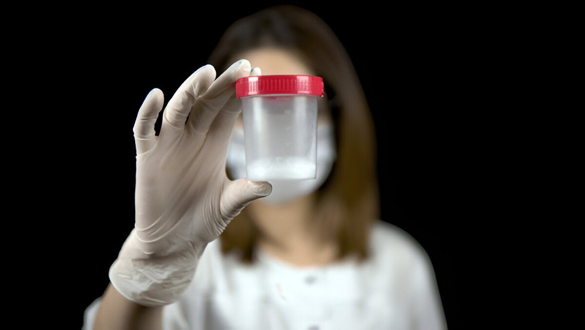 how much semen does a man produce image in a medical setting, featuring two men One man is a patient and the other one is a fertility doctor both showing a sterile cup in which there is a sample of semen