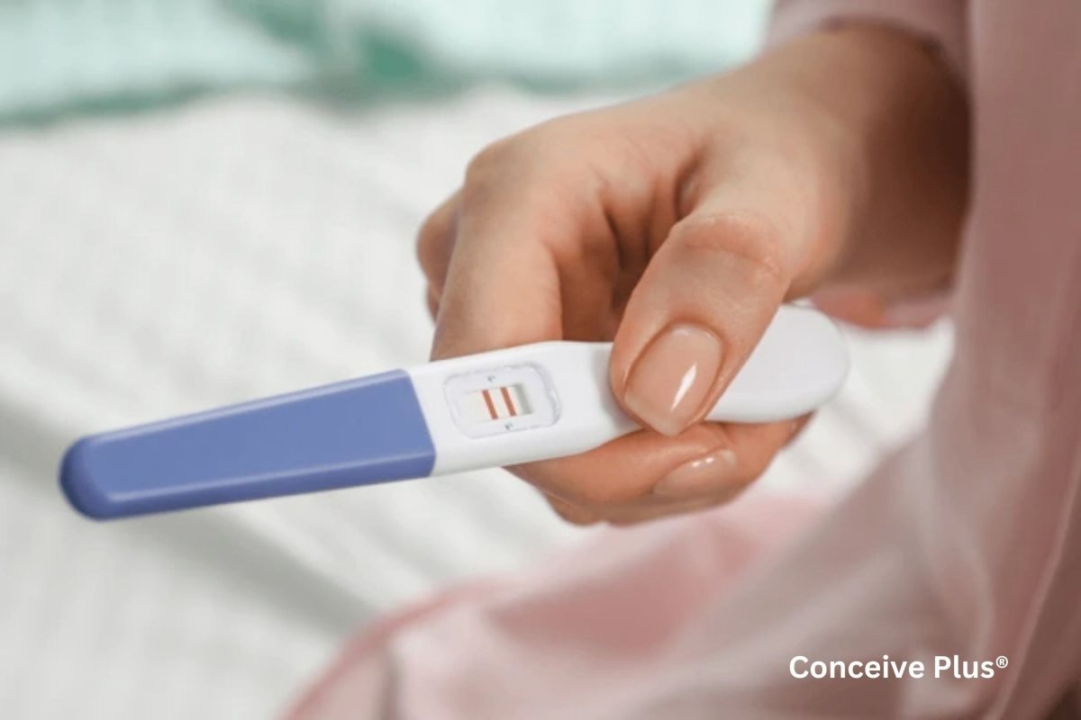 Is It Possible to Get Pregnant After Abortion? - Conceive Plus®