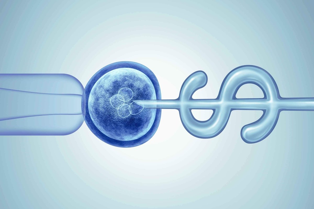 Direct Ivf IVF Med Cost Breakdown ICSI, Injections | Conceive Plus®