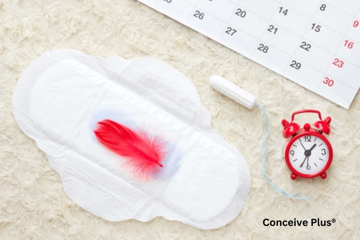 Light Period Blood: Understanding the Variations in Menstrual Flow - Conceive Plus®