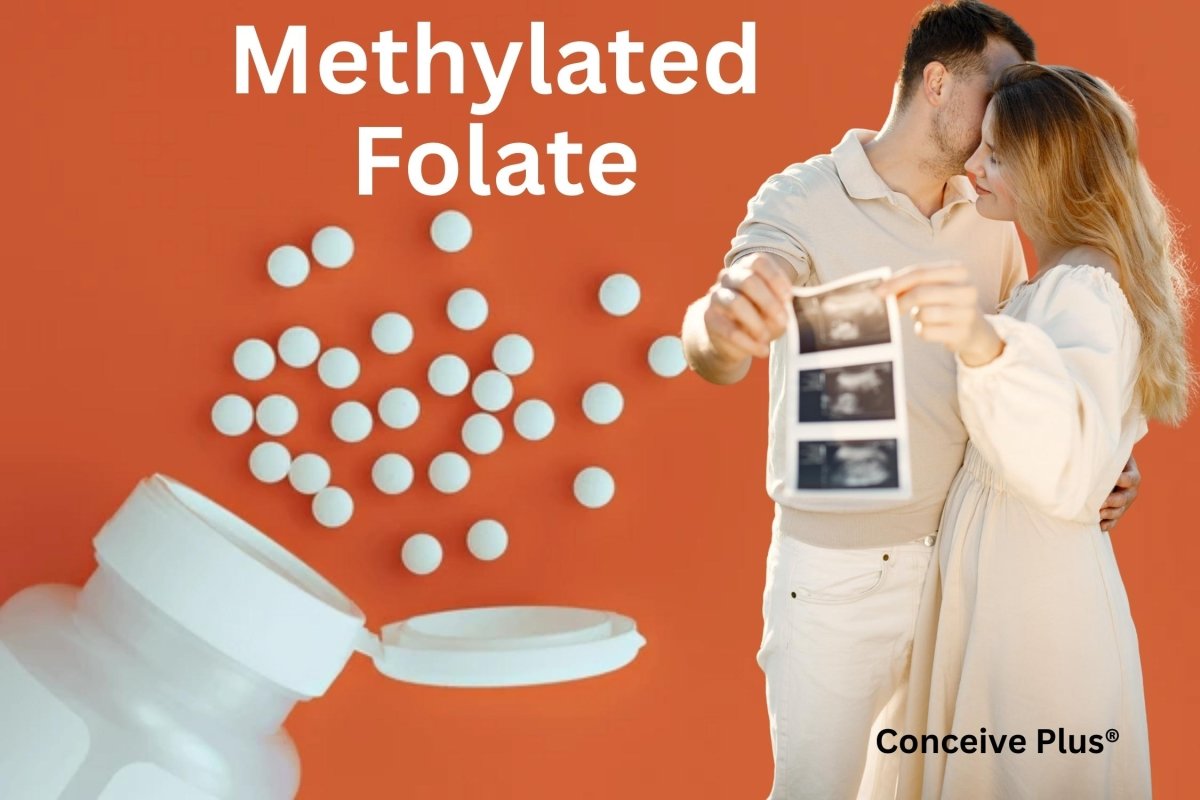 Folate méthylé : avantages, différences et implications – Conceive Plus®