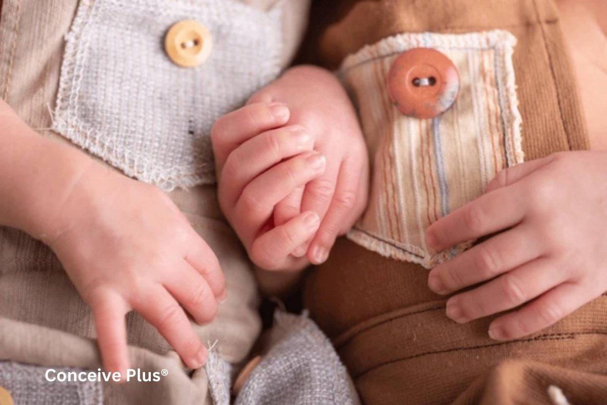 Calculateur de probabilités d'avoir des jumeaux | Conceive Plus®