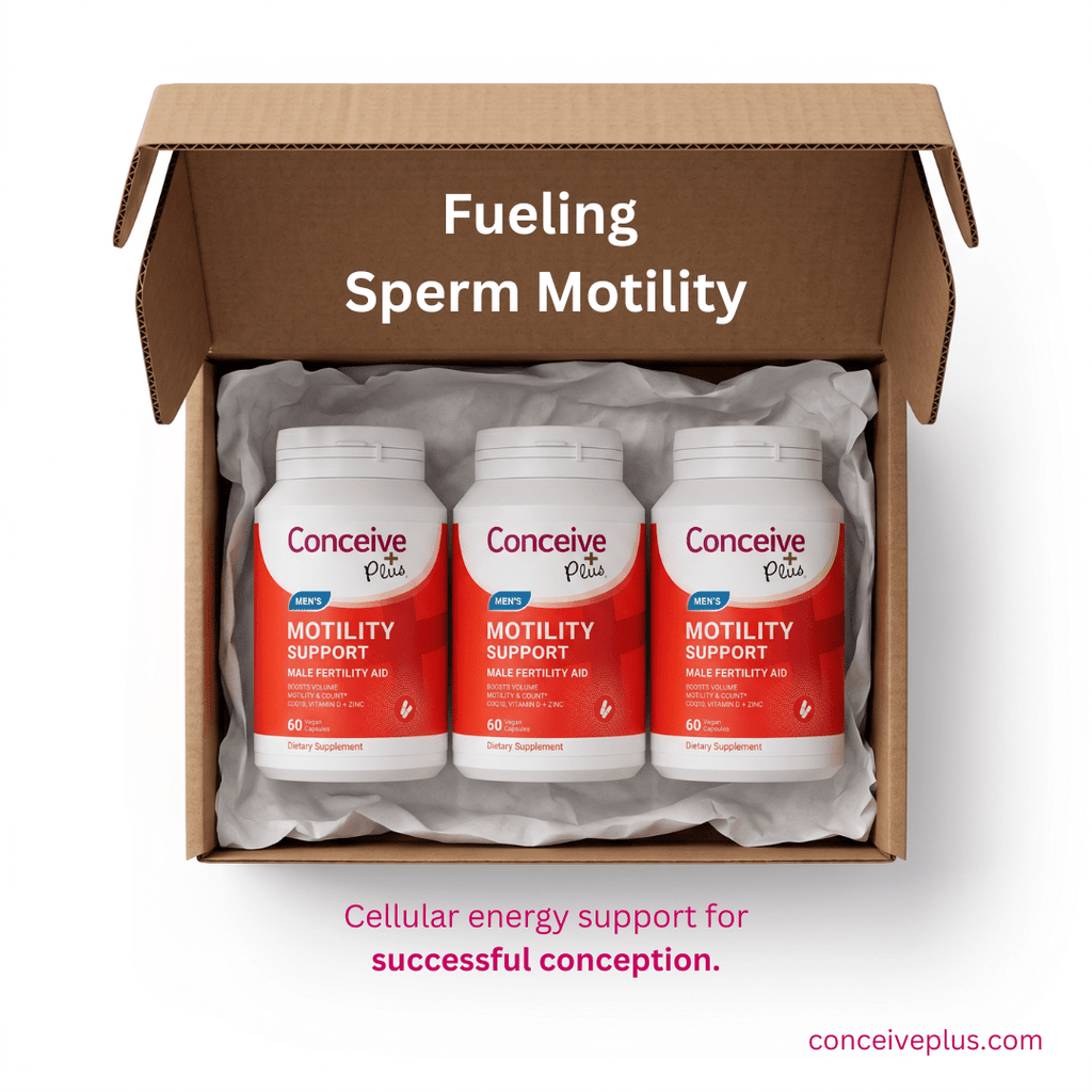 Sperm Health and Male Fertility: A Science-Based Guide to Improving Sperm Quality - Conceive Plus®