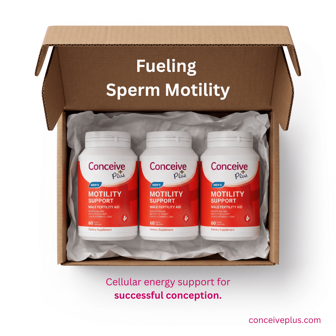 Sperm Health and Male Fertility: A Science-Based Guide to Improving Sperm Quality - Conceive Plus®