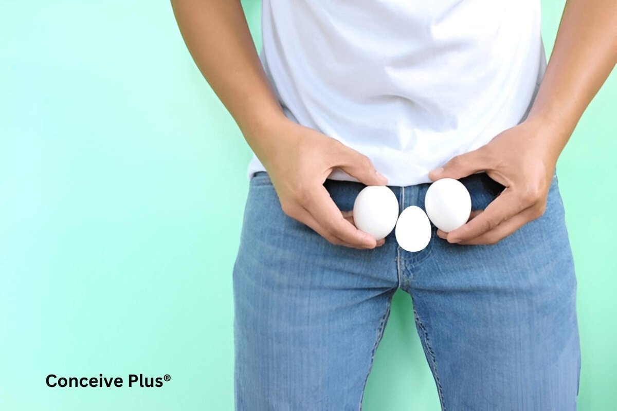 Three Testicles Third Testicle: Why It Feels Like I Have 3 | Conceive Plus®