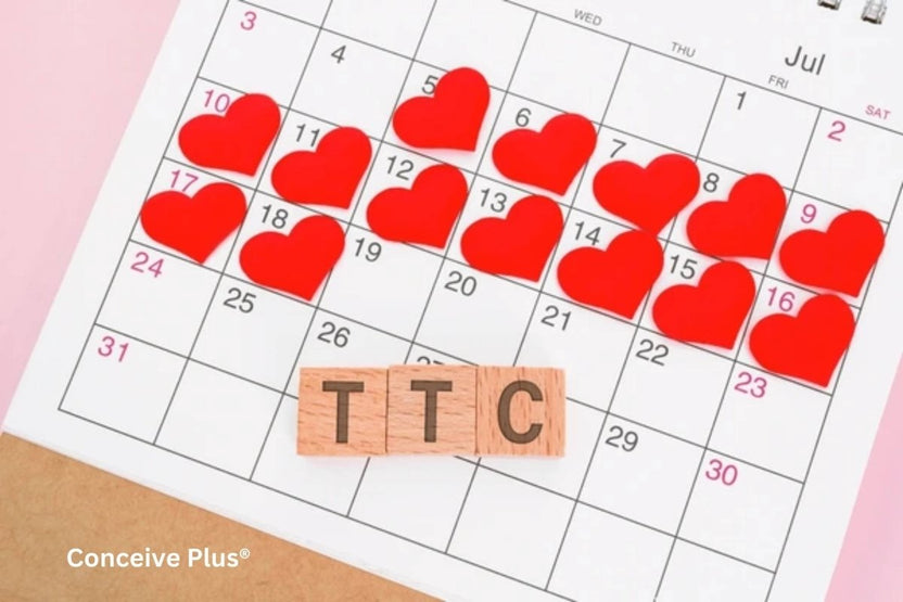TTC Meaning Explained for Couples | Conceive Plus®