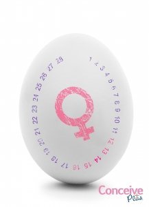 Understanding Your Ovulation Cycle and Falling Pregnant - Conceive Plus USA