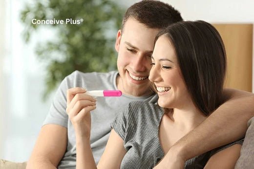 L Carnitine Sperm Health | Conceive Plus L Carnitine Sperm Health | Conceive Plus