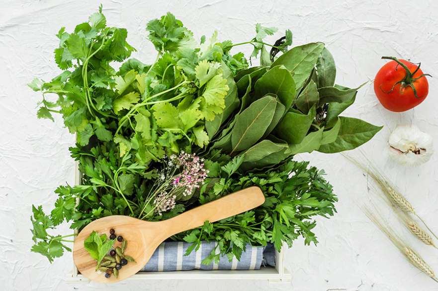 View of The Best Herbs for Increase Sperm Count? | Conceive Plus®