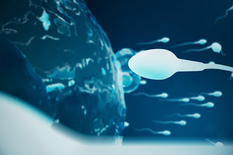 What Color Is Sperm After a Vasectomy? - Conceive Plus®