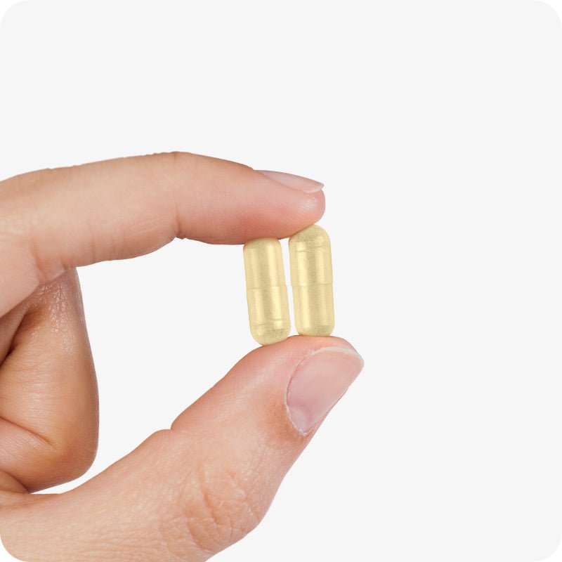 Motility Bundle - Sperm Volume & Fertility Support