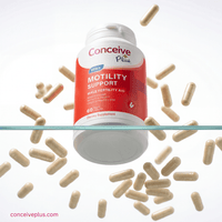 Supplement bottle labeled 'Conceive Plus Motility Support' with scattered capsules on a white background.
