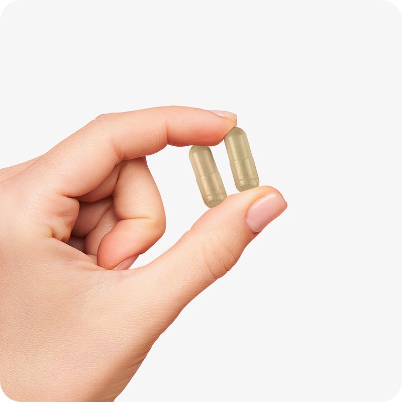 Ovulation Bundle, Fertility + Inositol Supplements